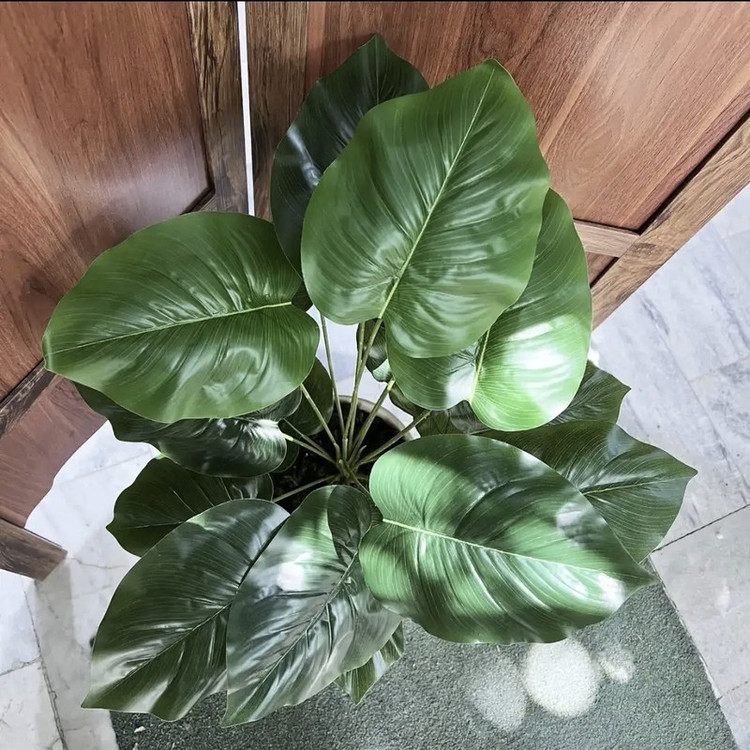 درختچه مصنوعی گیاه بابا آدم 18 برگ قابل شستشو رومیزی و ایستاده مناسب فضای باز و داخل ابعاد 30×30×70 سانتیمتر وزن 600 گرم