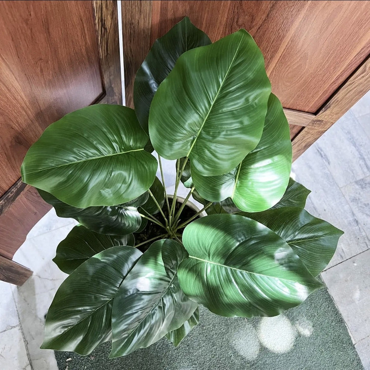 درختچه مصنوعی گیاه بابا آدم 18 برگ قابل شستشو رومیزی و ایستاده مناسب فضای باز و داخل ابعاد 30×30×70 سانتیمتر وزن 600 گرم