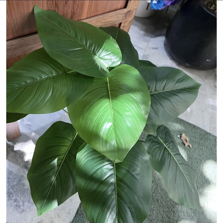درختچه مصنوعی گیاه بابا آدم 18 برگ قابل شستشو رومیزی و ایستاده مناسب فضای باز و داخل ابعاد 30×30×70 سانتیمتر وزن 600 گرم