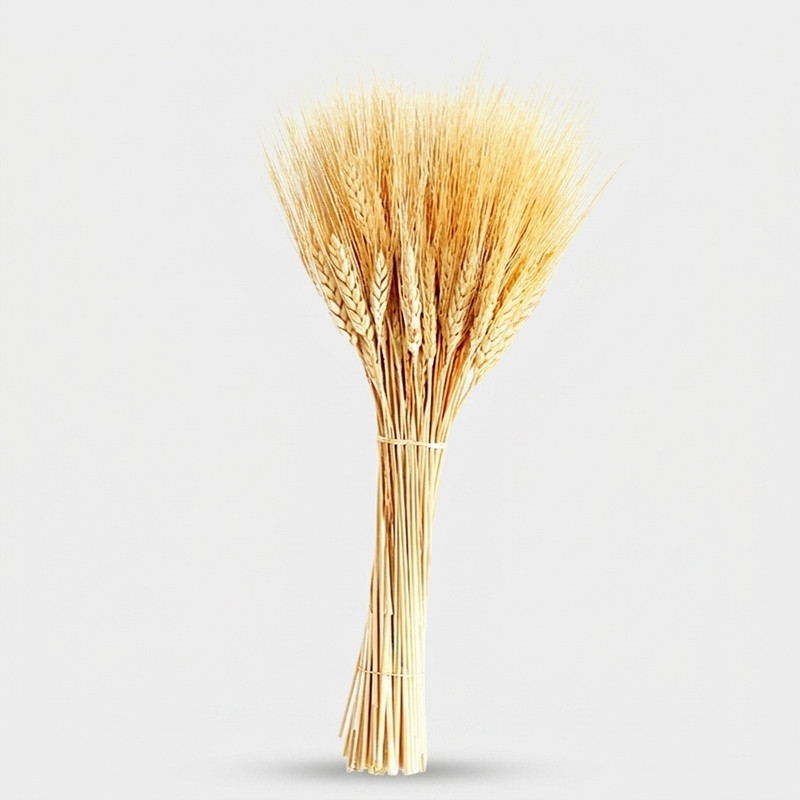 دسته گل خشک مدل خوشه گندم کد 20