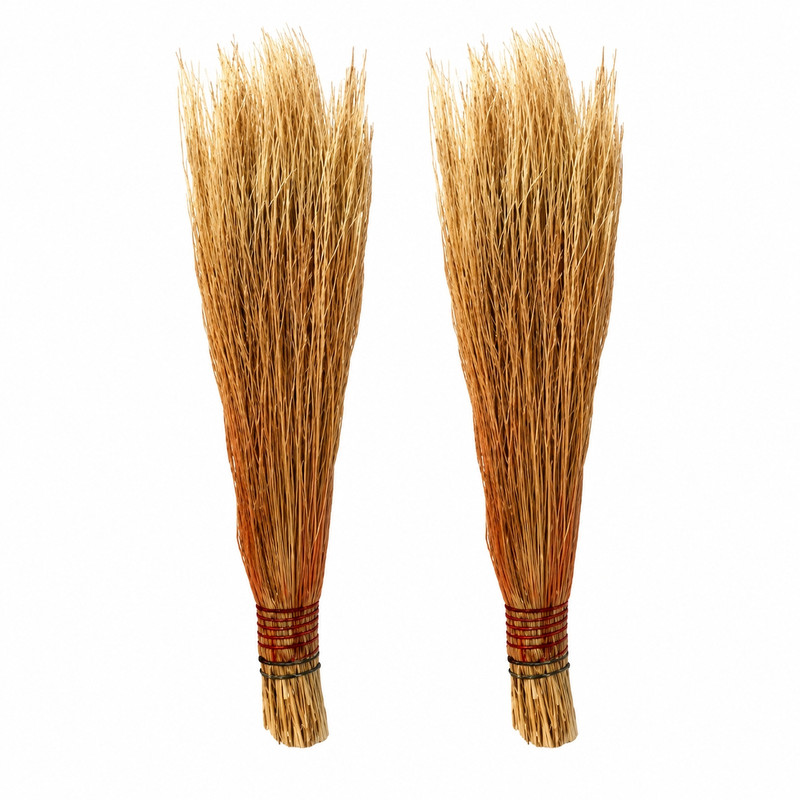 جارو دستی مدل AKH2 بسته ۲ عددی